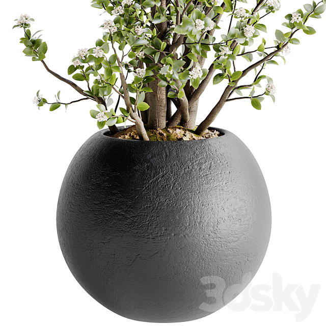 3d model