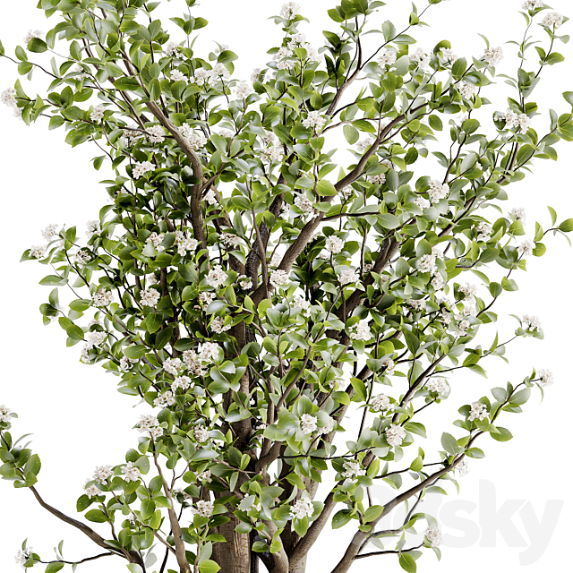 3dsky Free Download