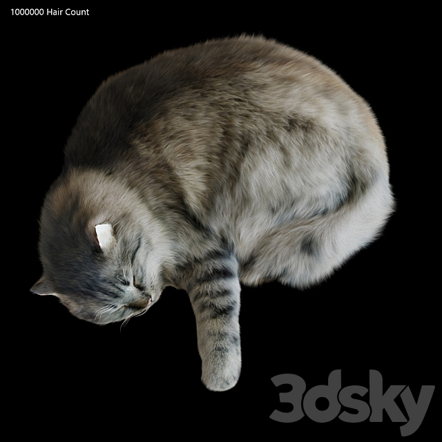3d model