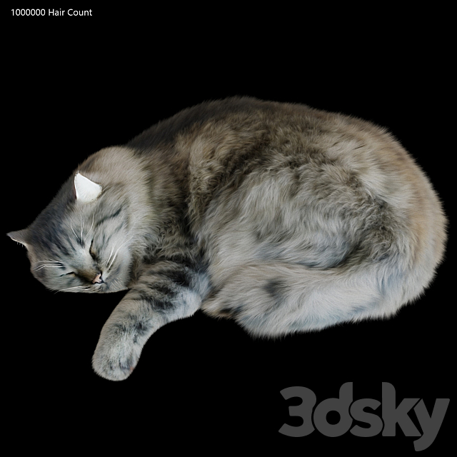 3dsky Free Download