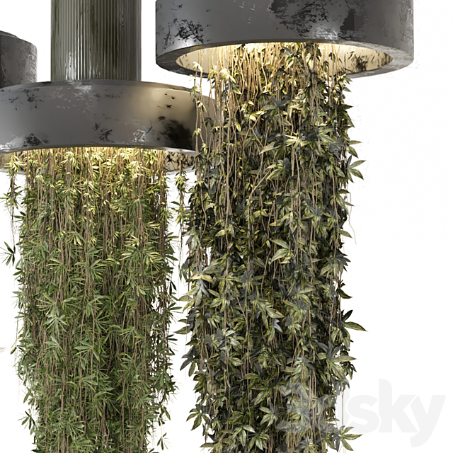 3dsky Free Download
