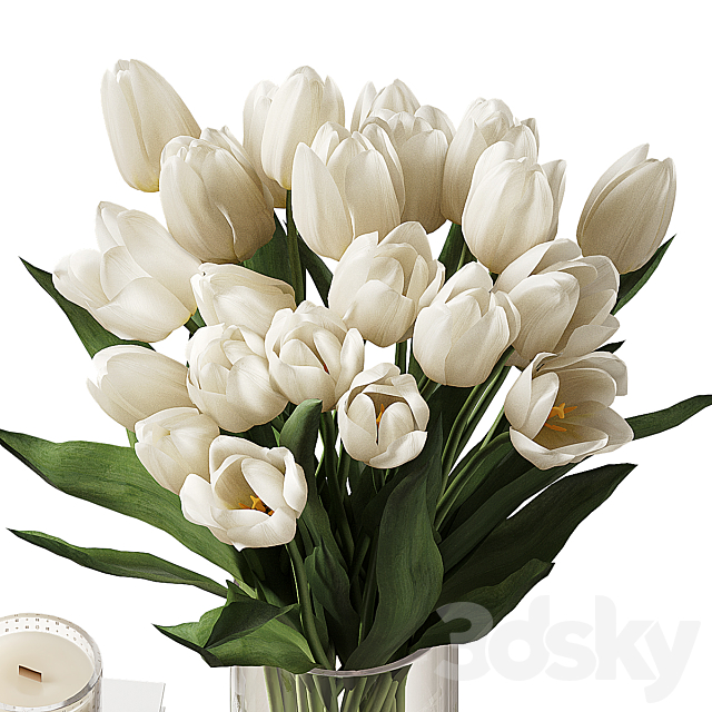 3dsky Free Download
