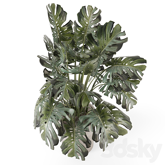 3d model