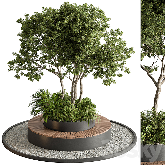 3d model