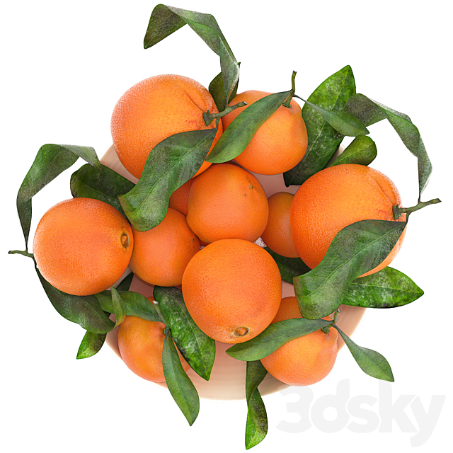 3d model
