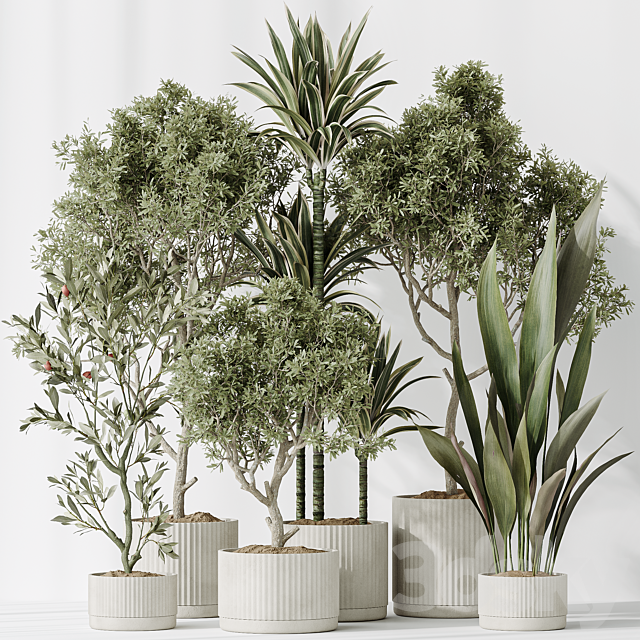 Indoor plants set 63 3ds Max - thumbnail 2
