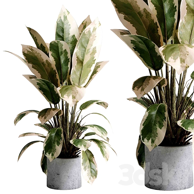 3d model