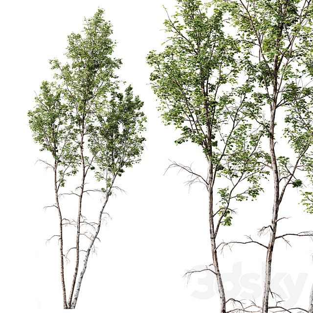 3dsky Free Download