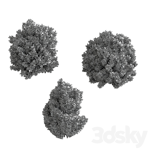 3d model