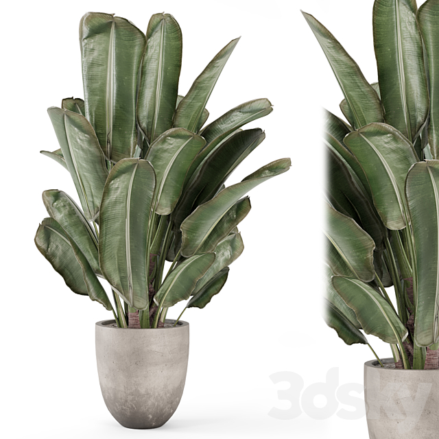 3d model