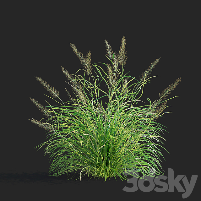 3dsky Free Download