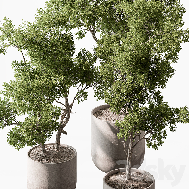 3d model