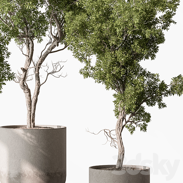 3dsky Free Download