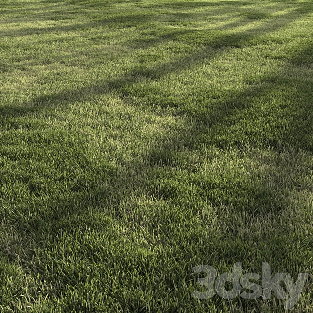 3d model