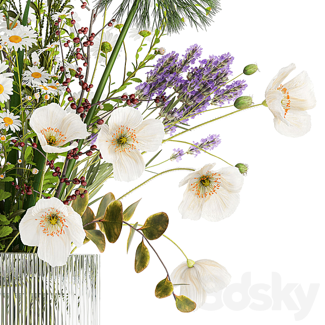 3dsky Free Download