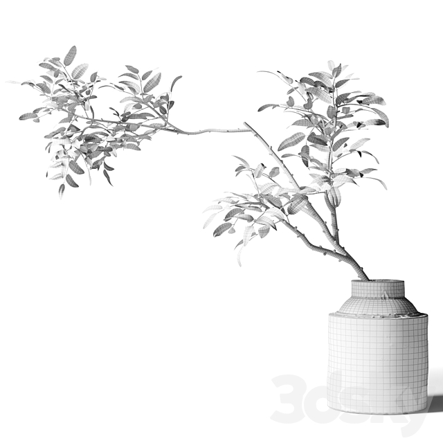 3d model