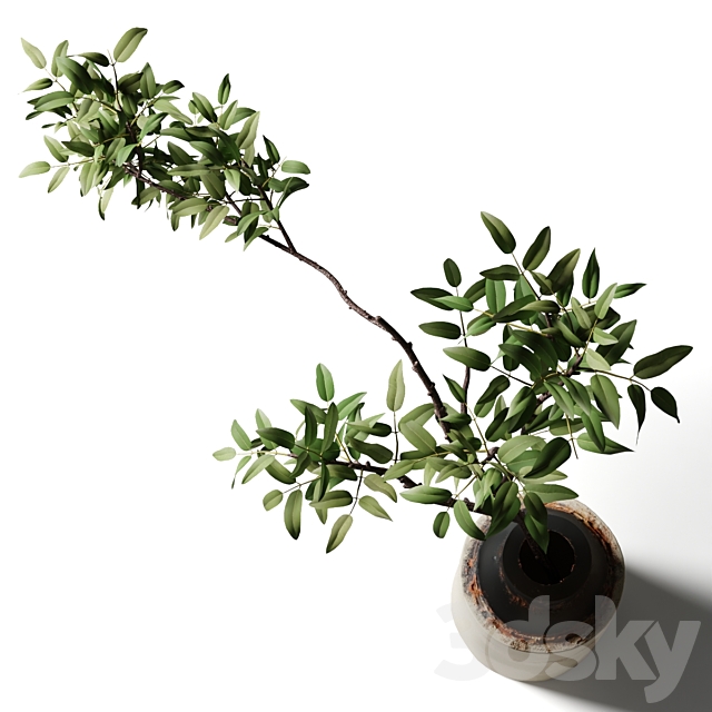 3dsky Free Download