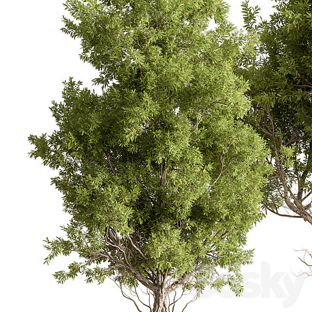 3d model