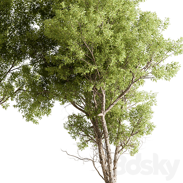 3dsky Free Download