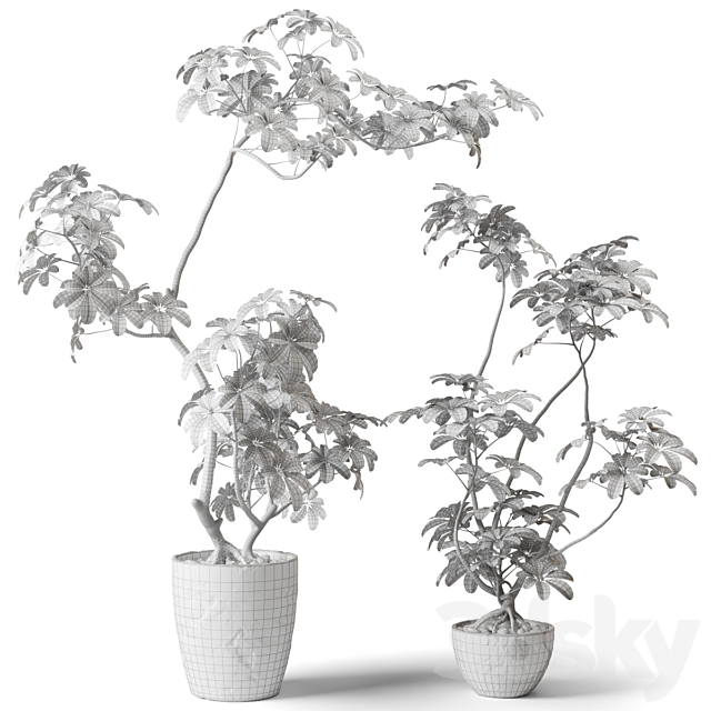 3dsky Free Download