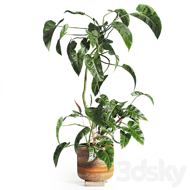 3d model