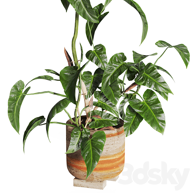3dsky Free Download