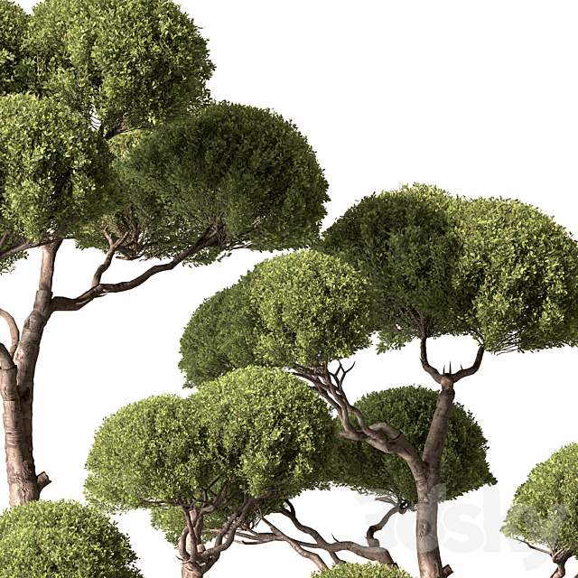3dsky Free Download