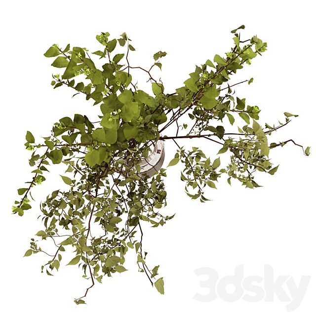 3dsky Free Download