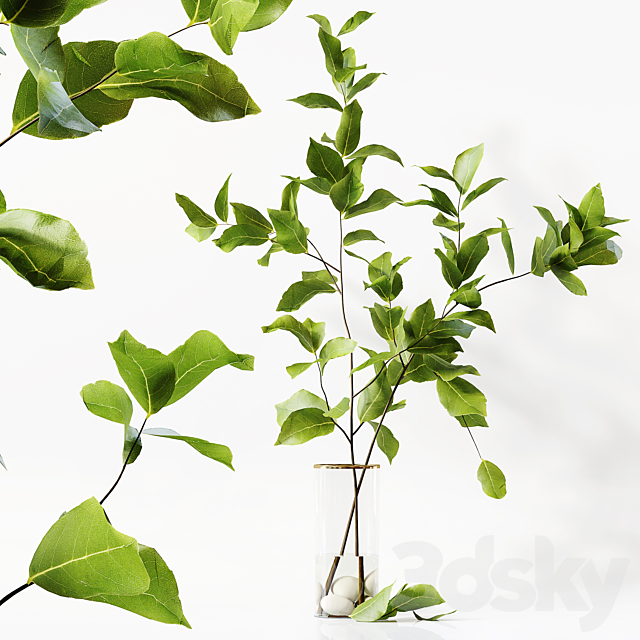 3dsky Free Download