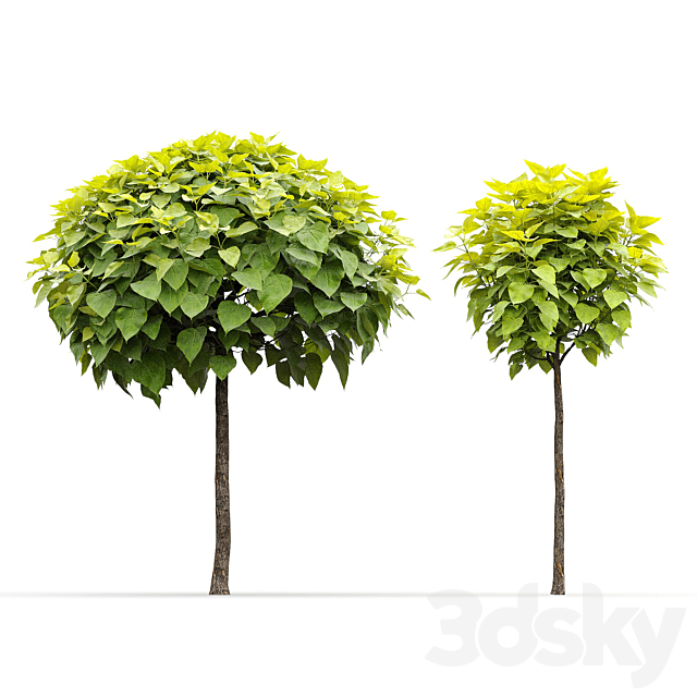 3d model