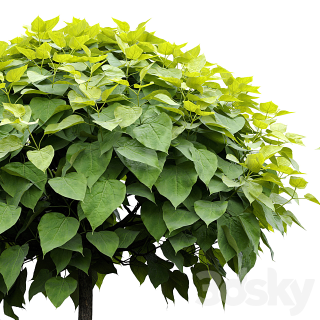 3dsky Free Download