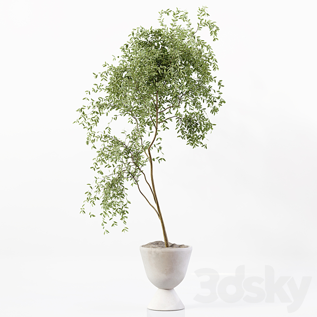 3d model