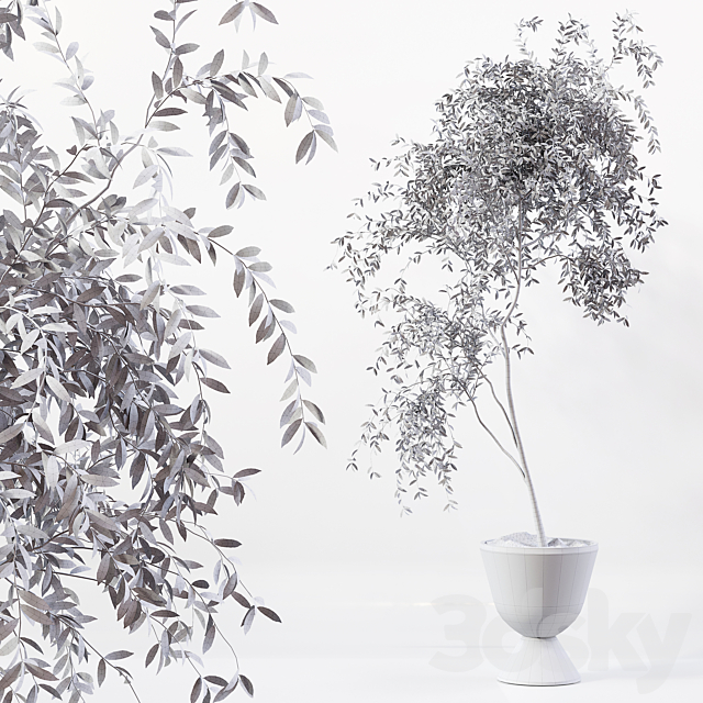 3dsky Free Download