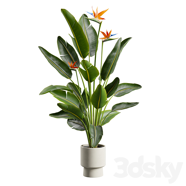 3d model