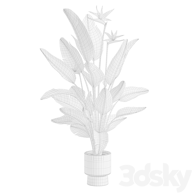 3dsky Free Download