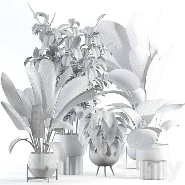 3d model