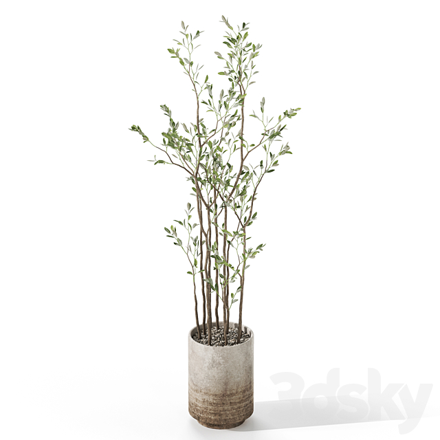 3d model