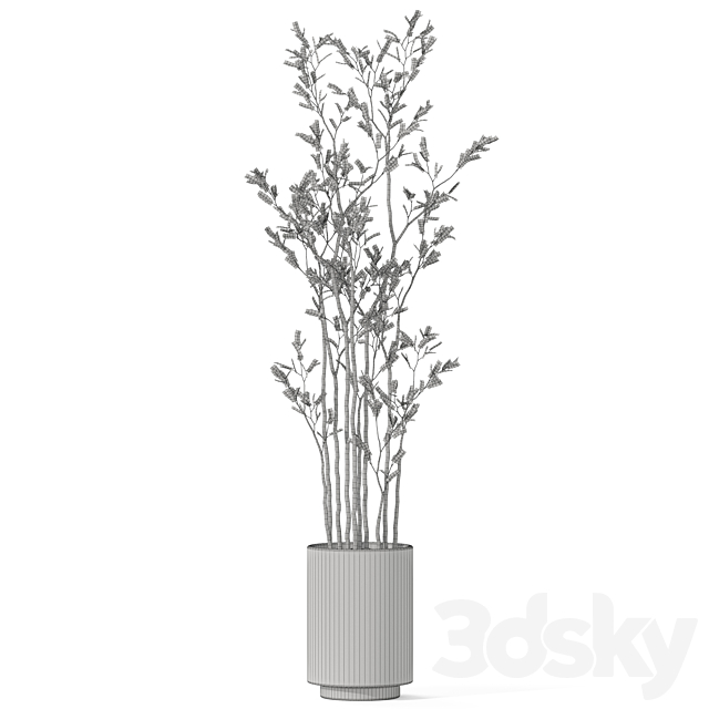 3dsky Free Download