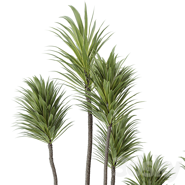 3dsky Free Download