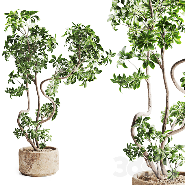 3d model