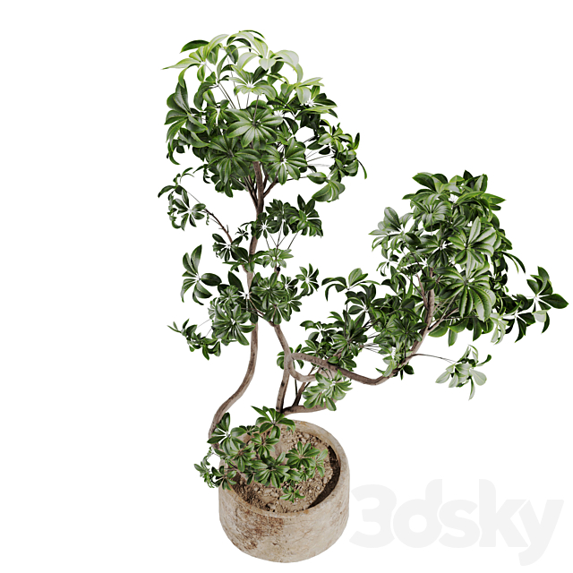 3dsky Free Download