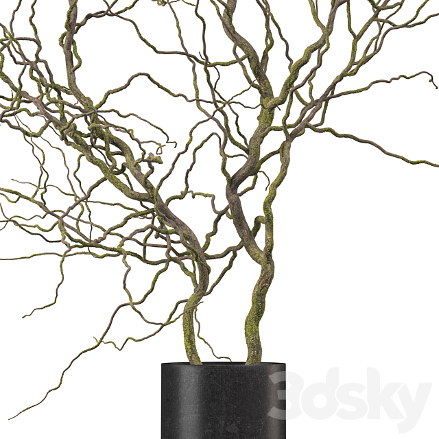 3dsky Free Download