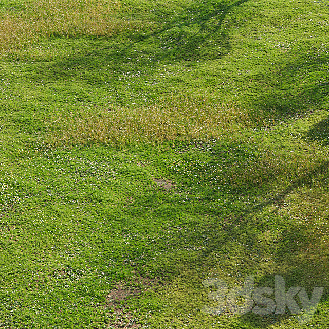 3dsky Free Download