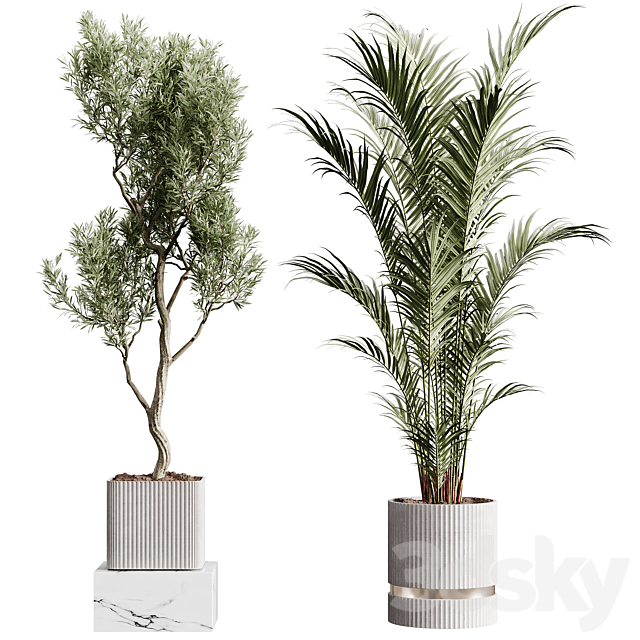 3d model