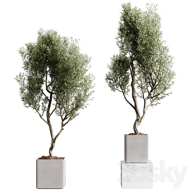 3dsky Free Download