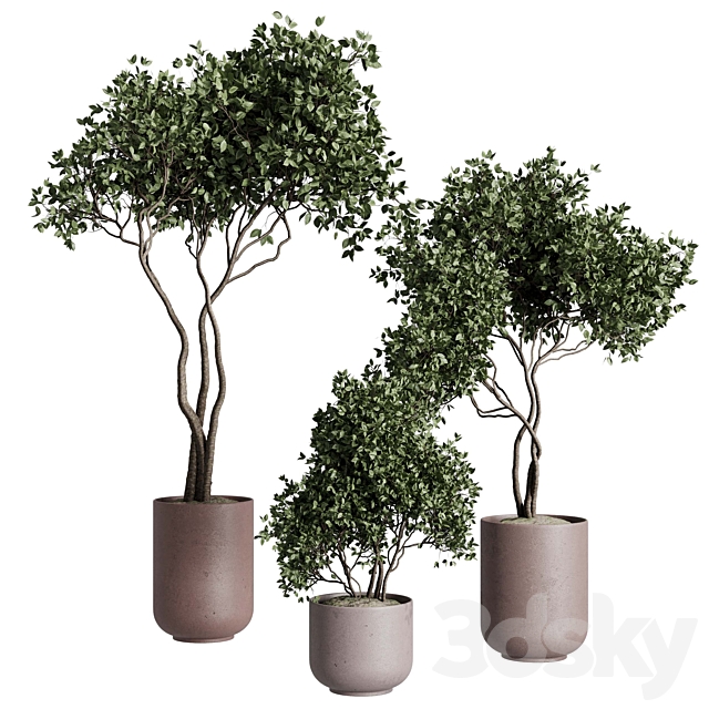 3d model