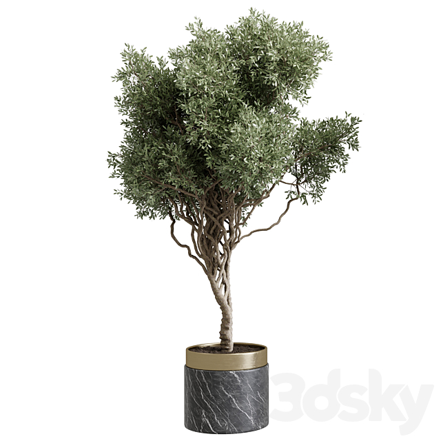 3d model