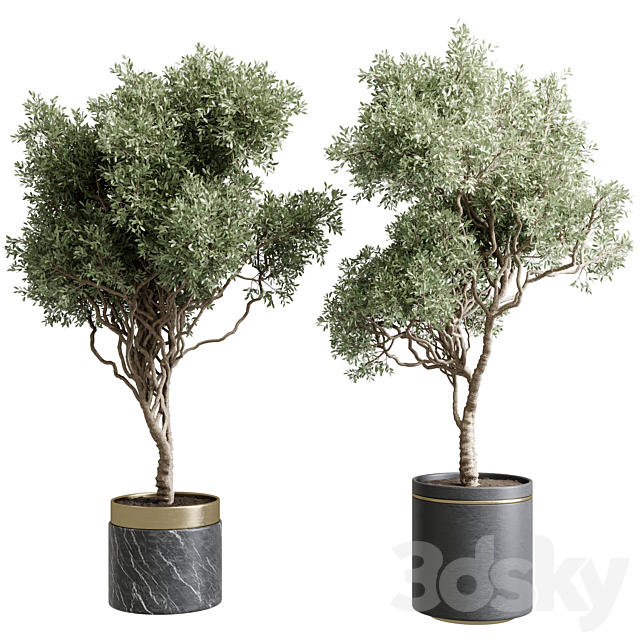3dsky Free Download