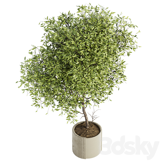 3d model