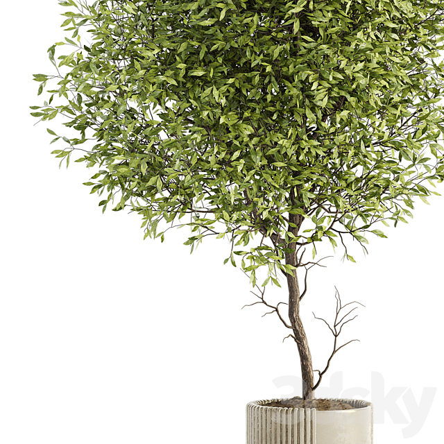 3dsky Free Download